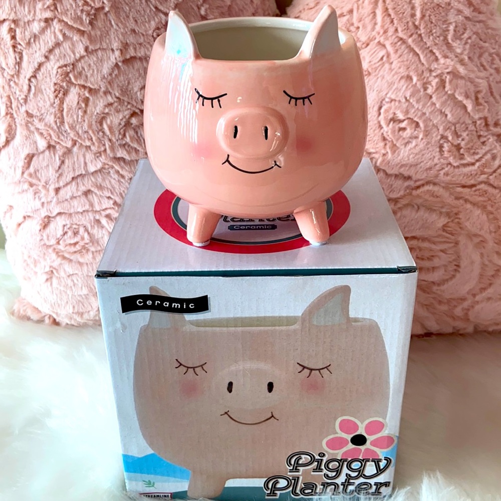 Brand new ceramic piggy planter.